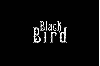 Inauguração do Black Bird Eventos