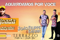 ＦＥＩＪＯＡＤＡ ＤＯ ＴＯＤＤＹＮＨＯ
