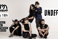 NOITE INDIE