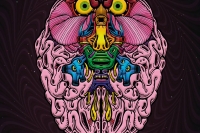 Sinestesia