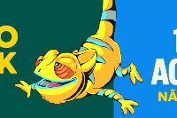 Excursão João Rock